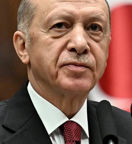 Erdoğan bir daha 2025 dedi!