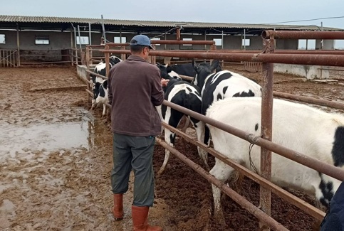Amaç hayvan varlığını korumak