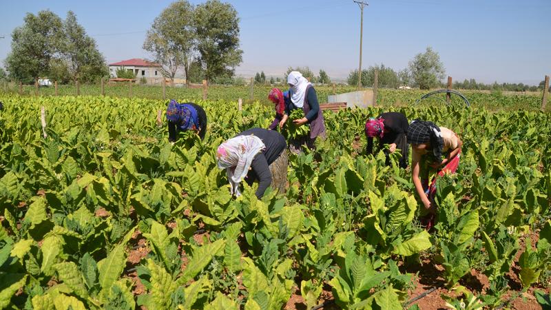 Her şey değişiyor çiftçinin bu sorunu değişmiyor!