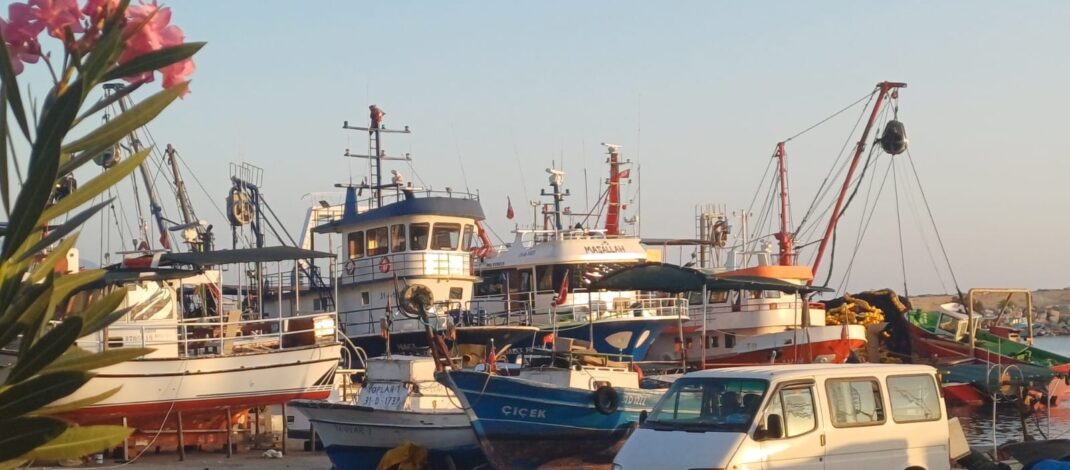 Balıkçılar 1 Eylül’e kadar ara verdiler!